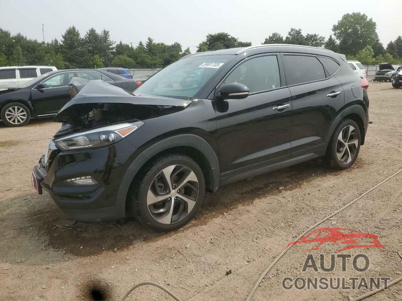 HYUNDAI TUCSON 2016 - KM8J33A24GU034681