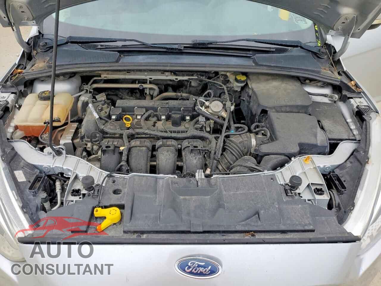 FORD FOCUS 2016 - 1FADP3F22GL373689