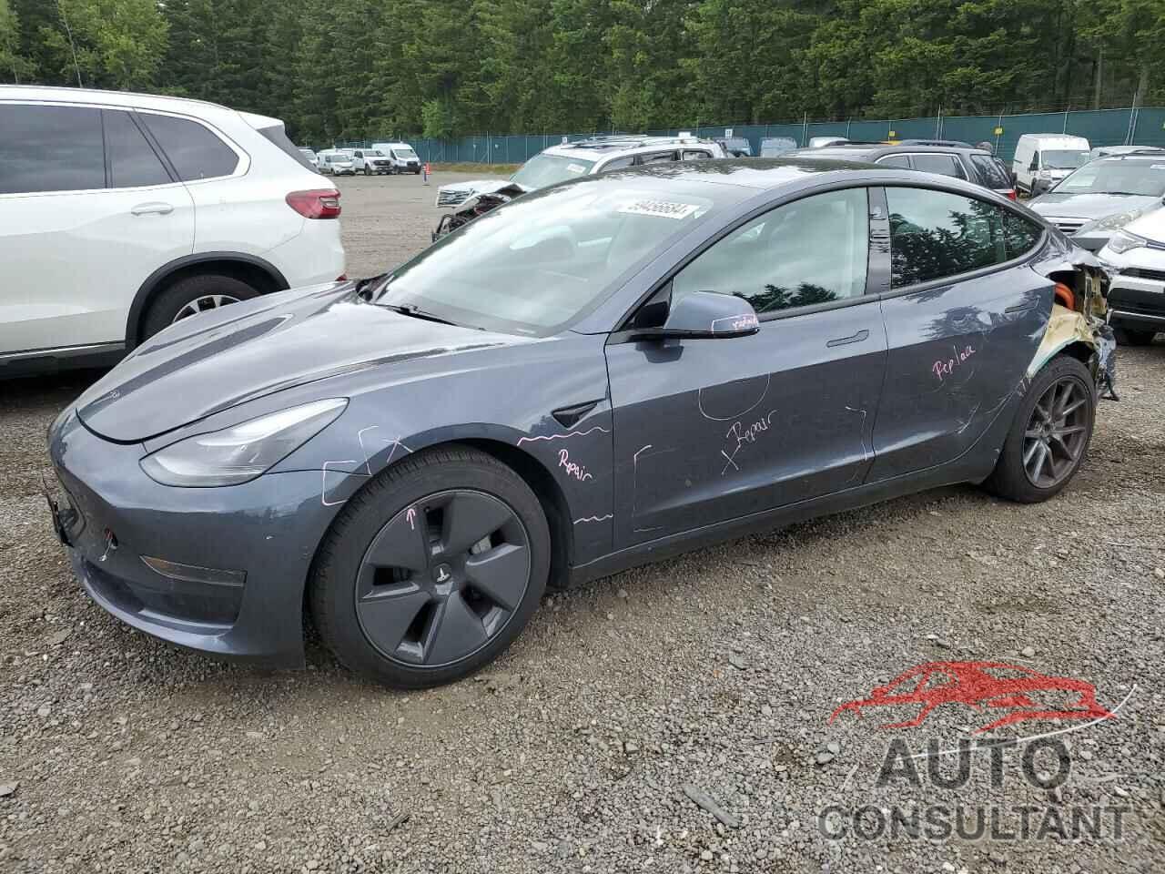 TESLA MODEL 3 2021 - 5YJ3E1EA9MF919475