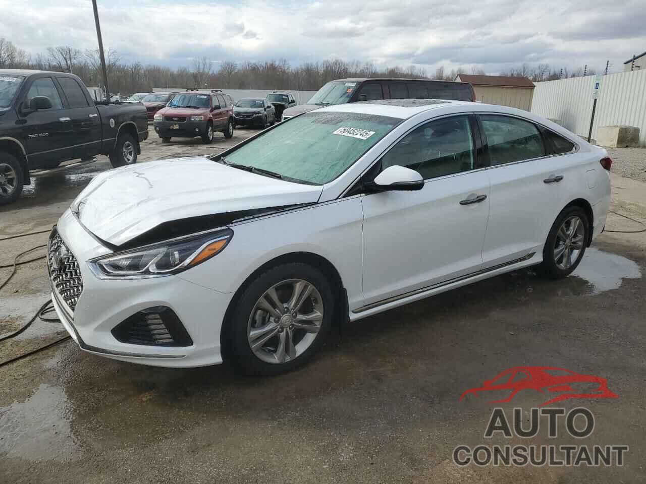 HYUNDAI SONATA 2018 - 5NPE34AF5JH672146