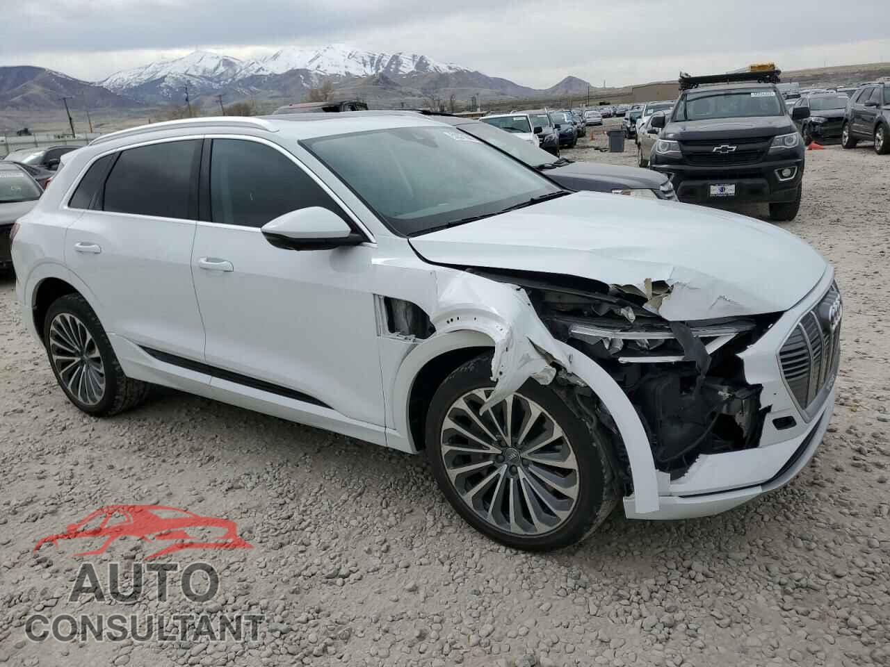 AUDI E-TRON 2019 - WA1VABGE9KB021981