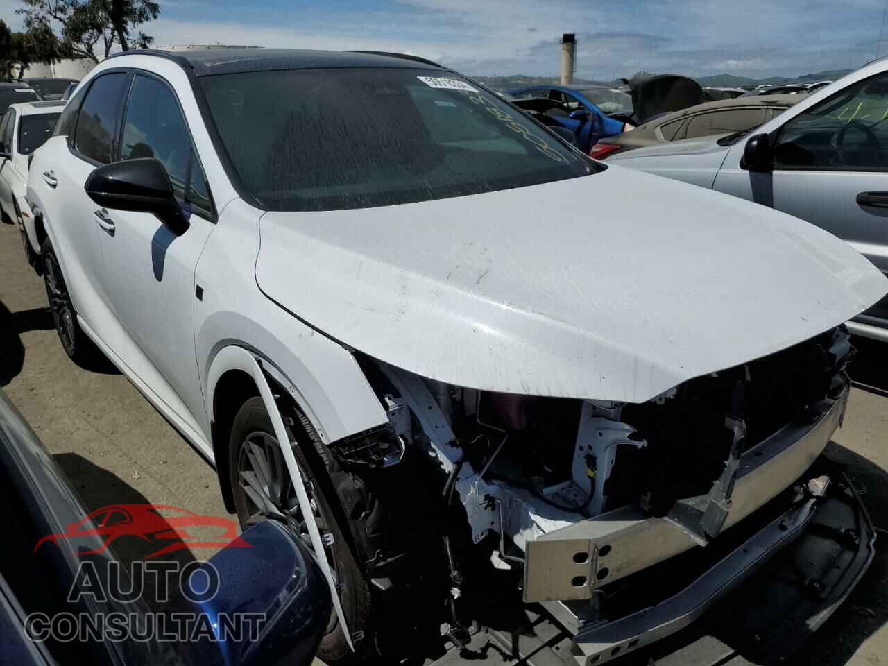 LEXUS RX 500H F 2023 - 2T2BCMEA9PC001667