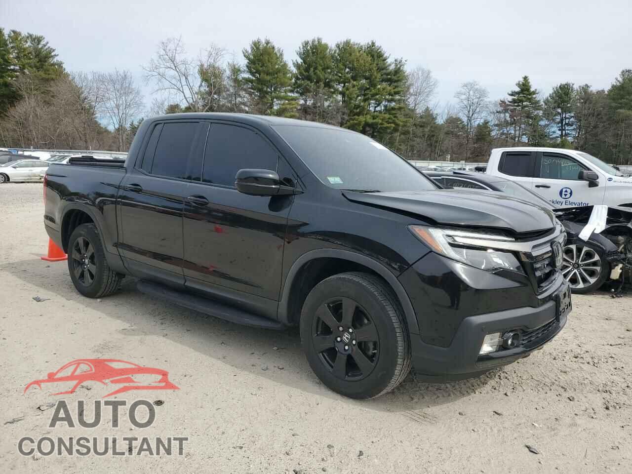 HONDA RIDGELINE 2019 - 5FPYK3F83KB009959