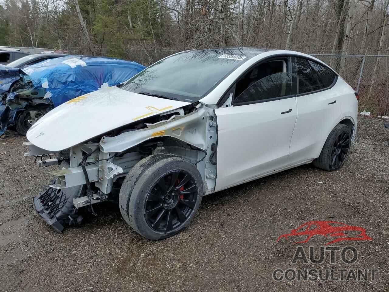 TESLA MODEL Y 2021 - 5YJYGDEE9MF086572