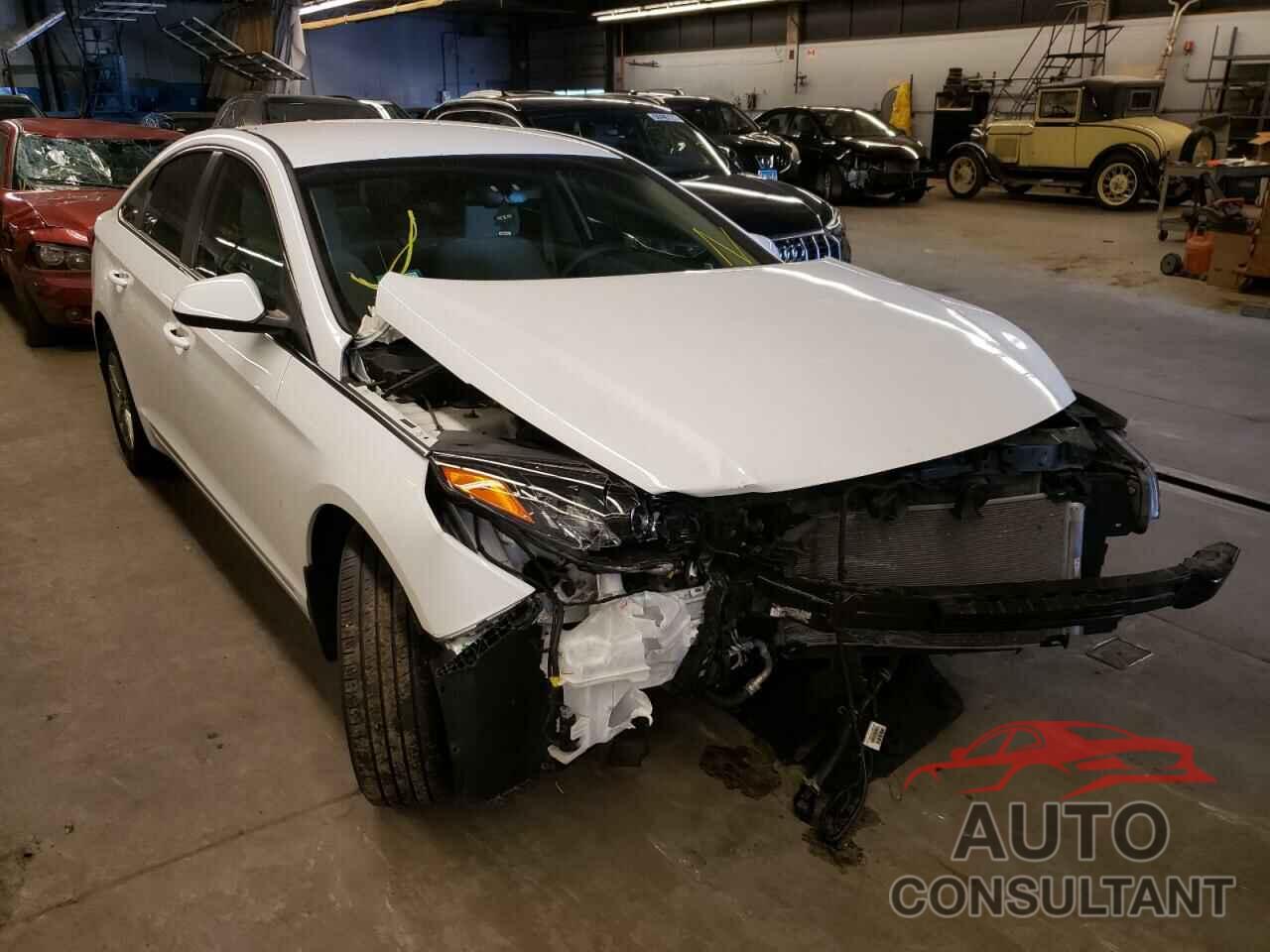 HYUNDAI SONATA 2017 - 5NPE24AF9HH488678