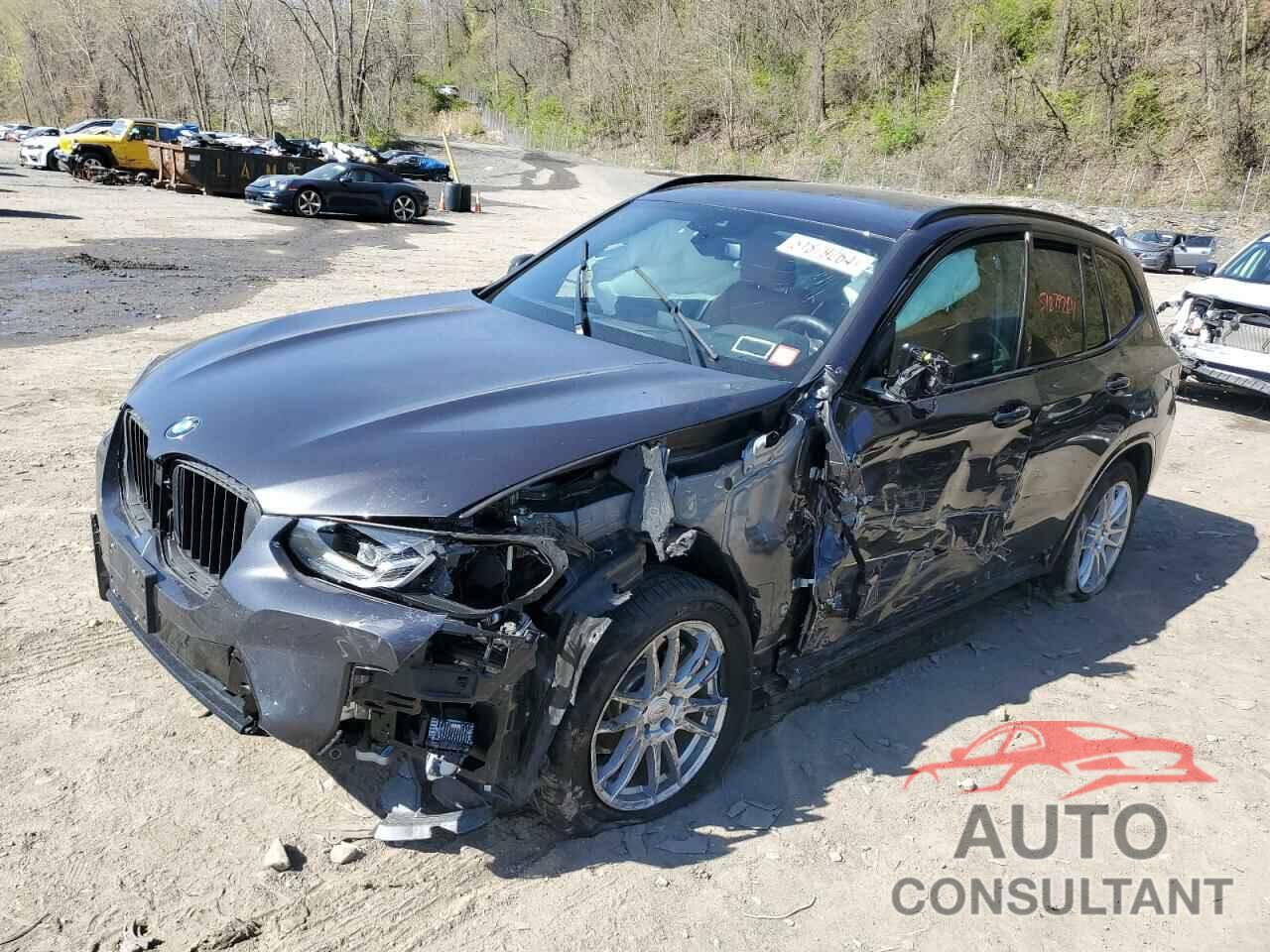 BMW X3 2022 - 5UX53DP04N9K05896