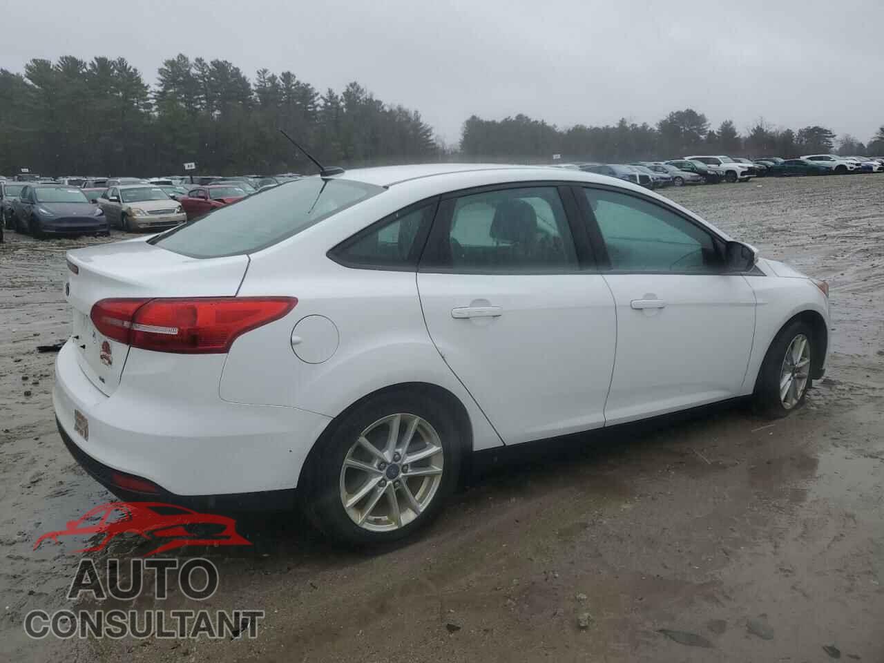 FORD FOCUS 2016 - 1FADP3F29GL227905