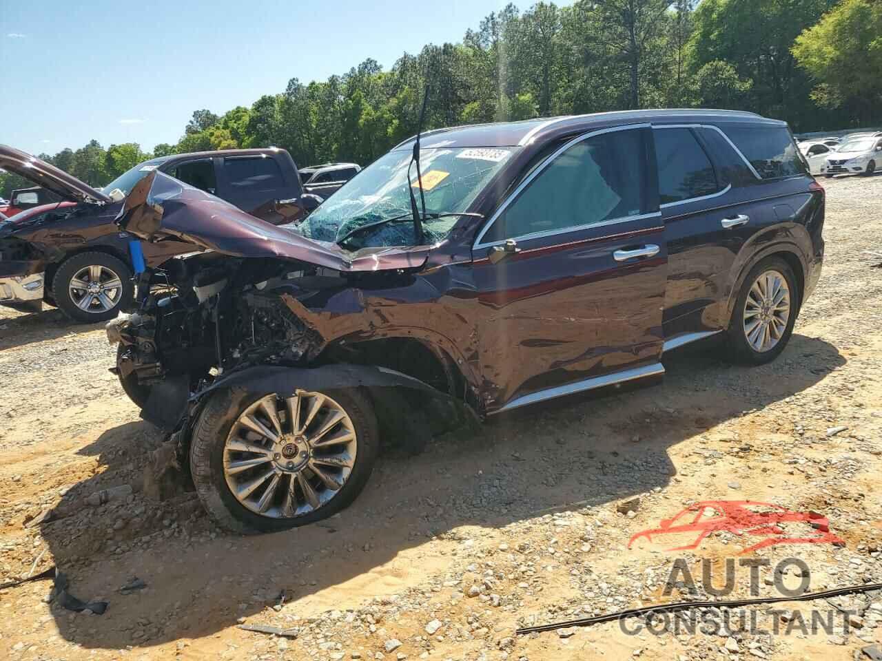 HYUNDAI PALISADE 2020 - KM8R5DHE0LU161425