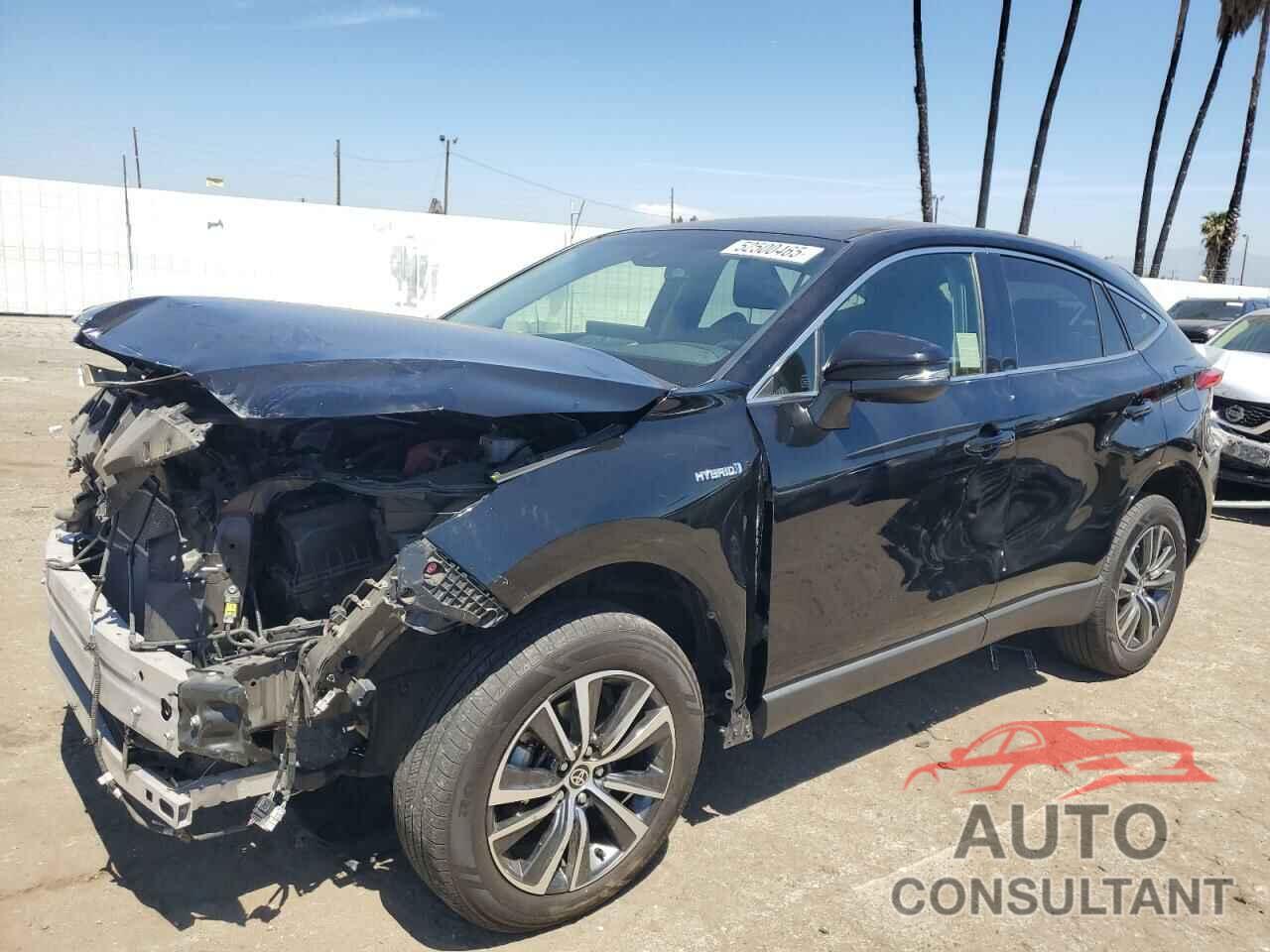 TOYOTA VENZA 2021 - JTEAAAAH2MJ052446