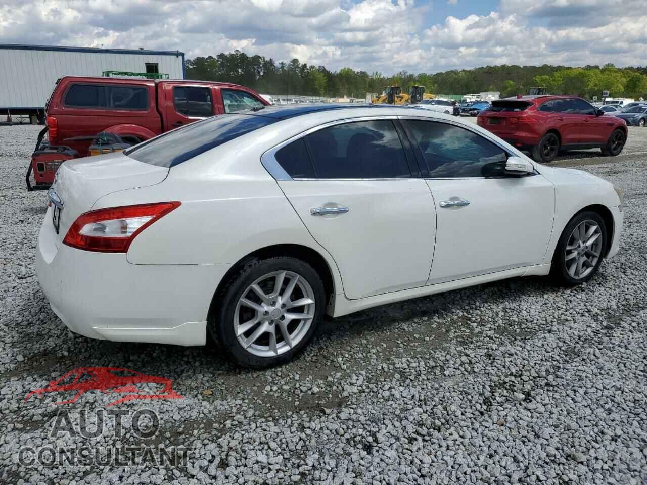 NISSAN MAXIMA 2011 - 1N4AA5AP1BC850656