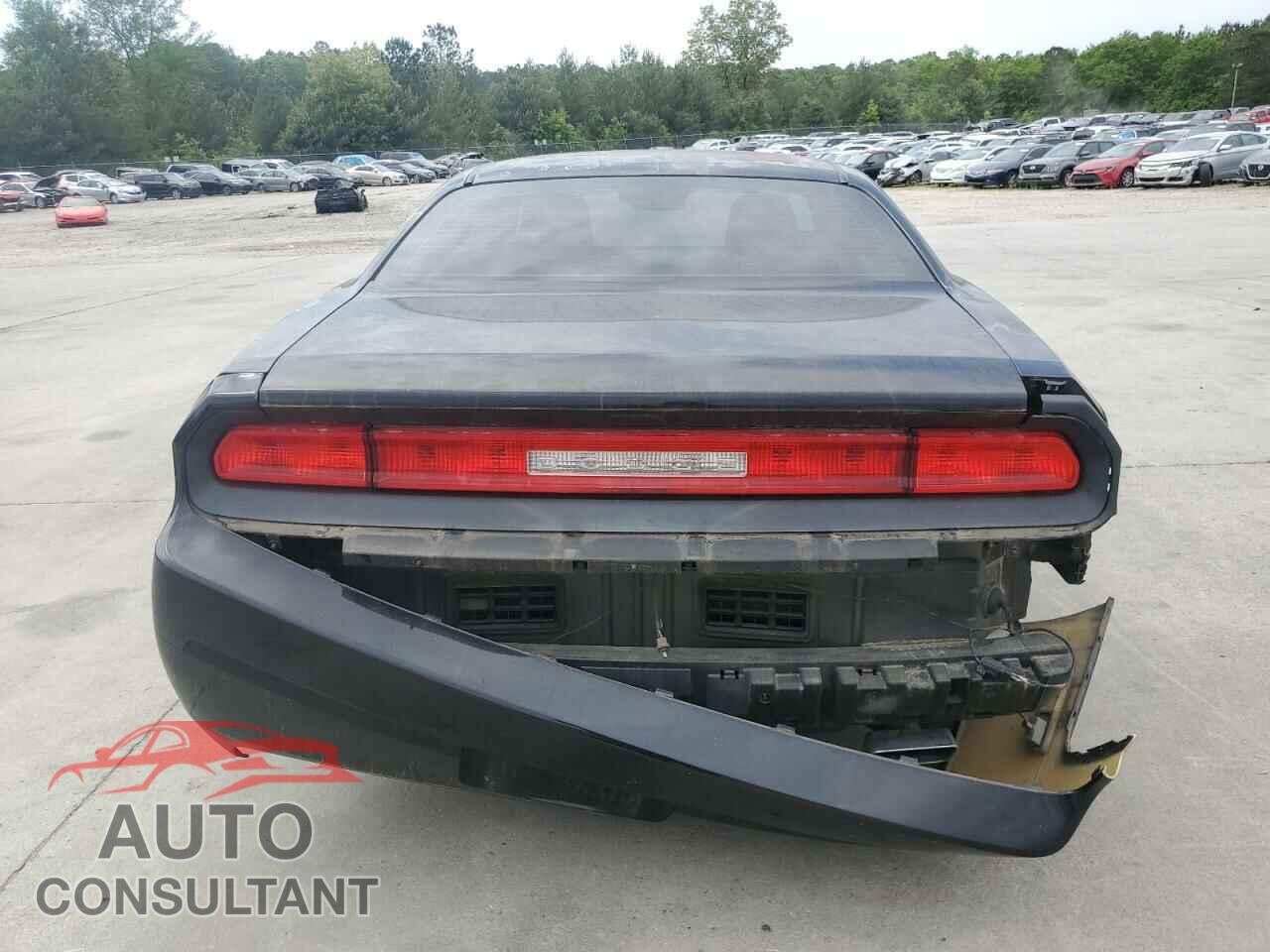 DODGE CHALLENGER 2013 - 2C3CDYAG6DH645978
