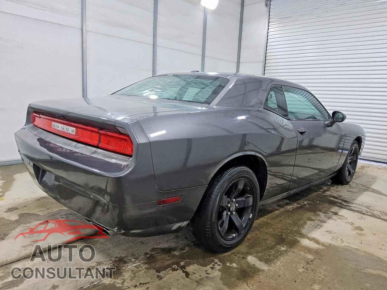 DODGE CHALLENGER 2013 - 2C3CDYAG3DH554201