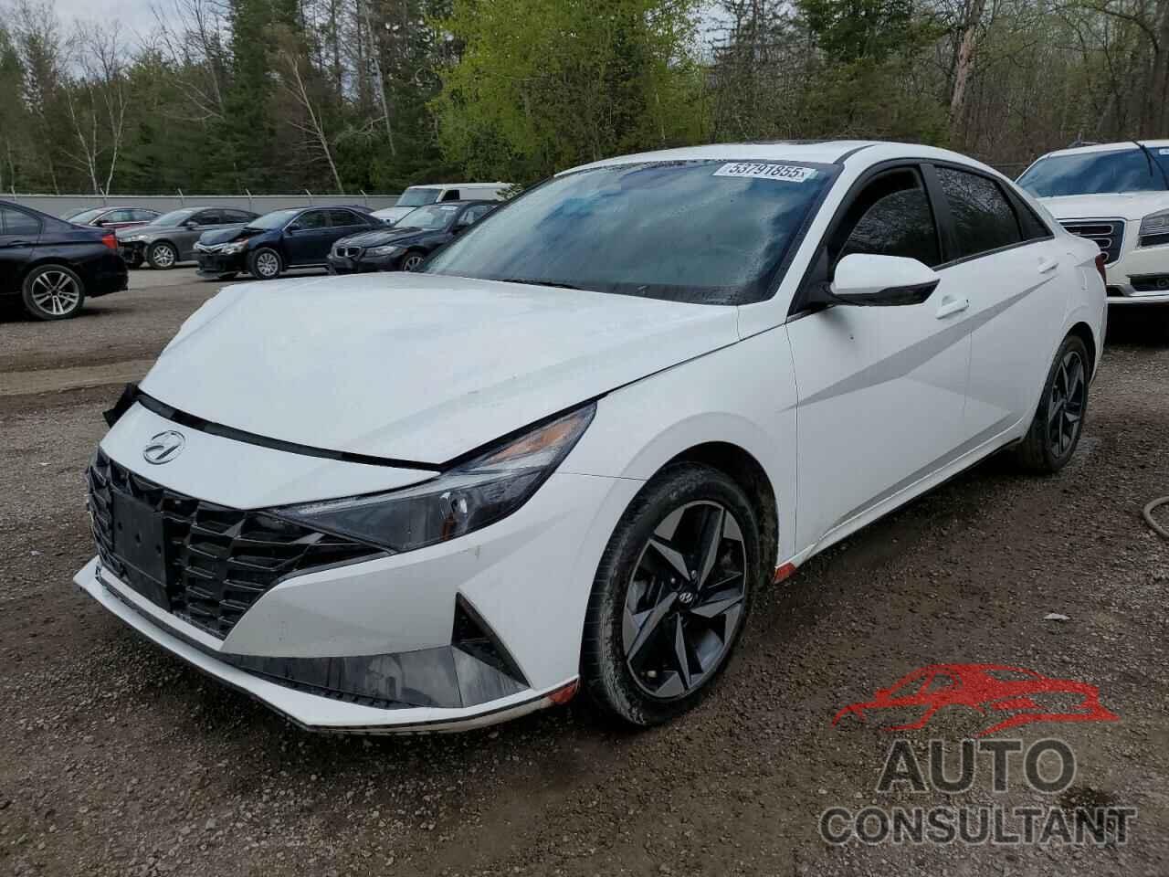 HYUNDAI ELANTRA 2023 - KMHLN4AJXPU074473