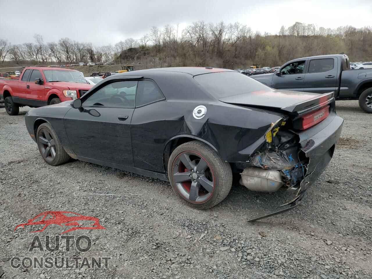 DODGE CHALLENGER 2013 - 2C3CDYAGXDH594226