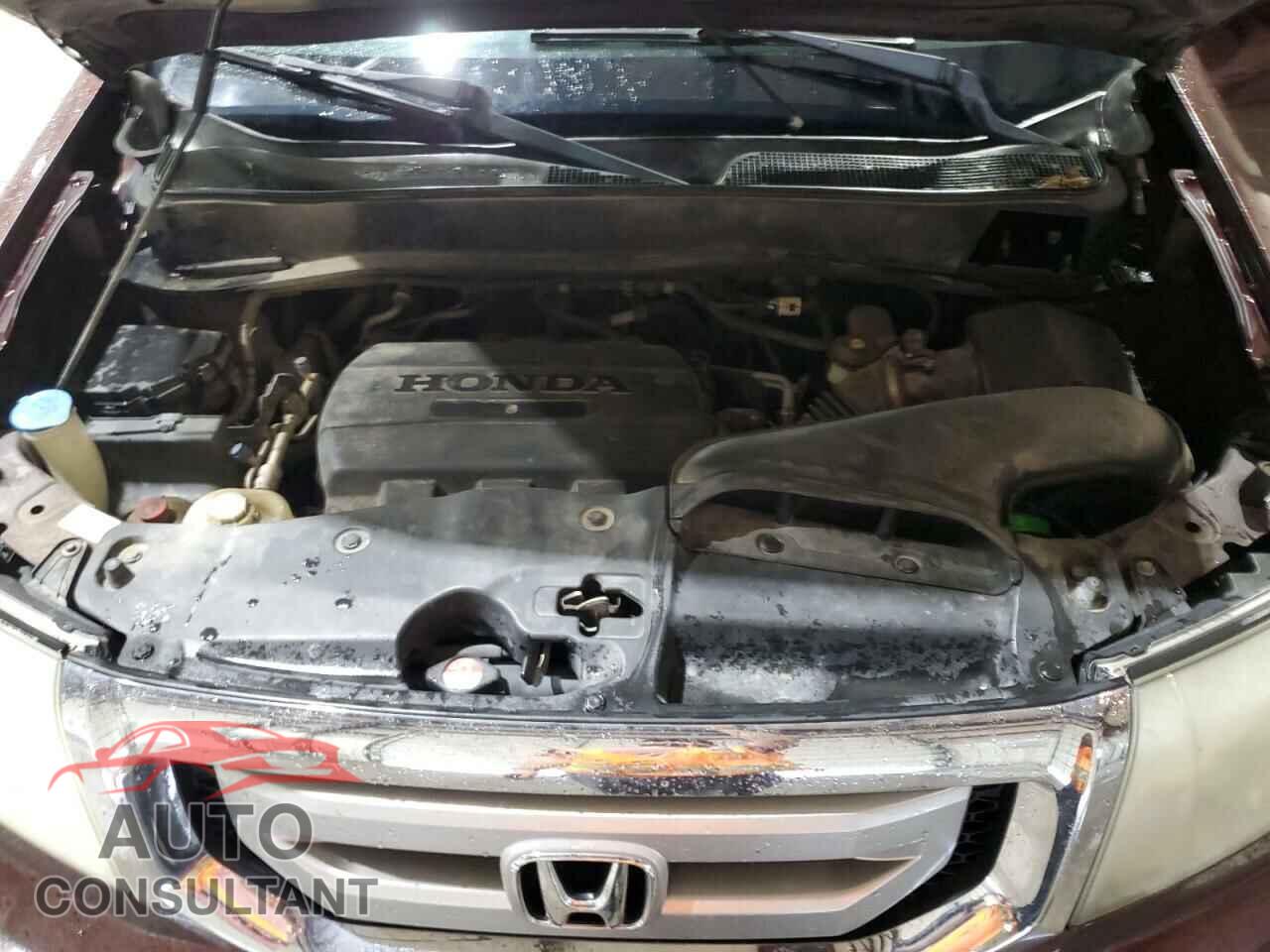 HONDA PILOT 2009 - 5FNYF48949B054041