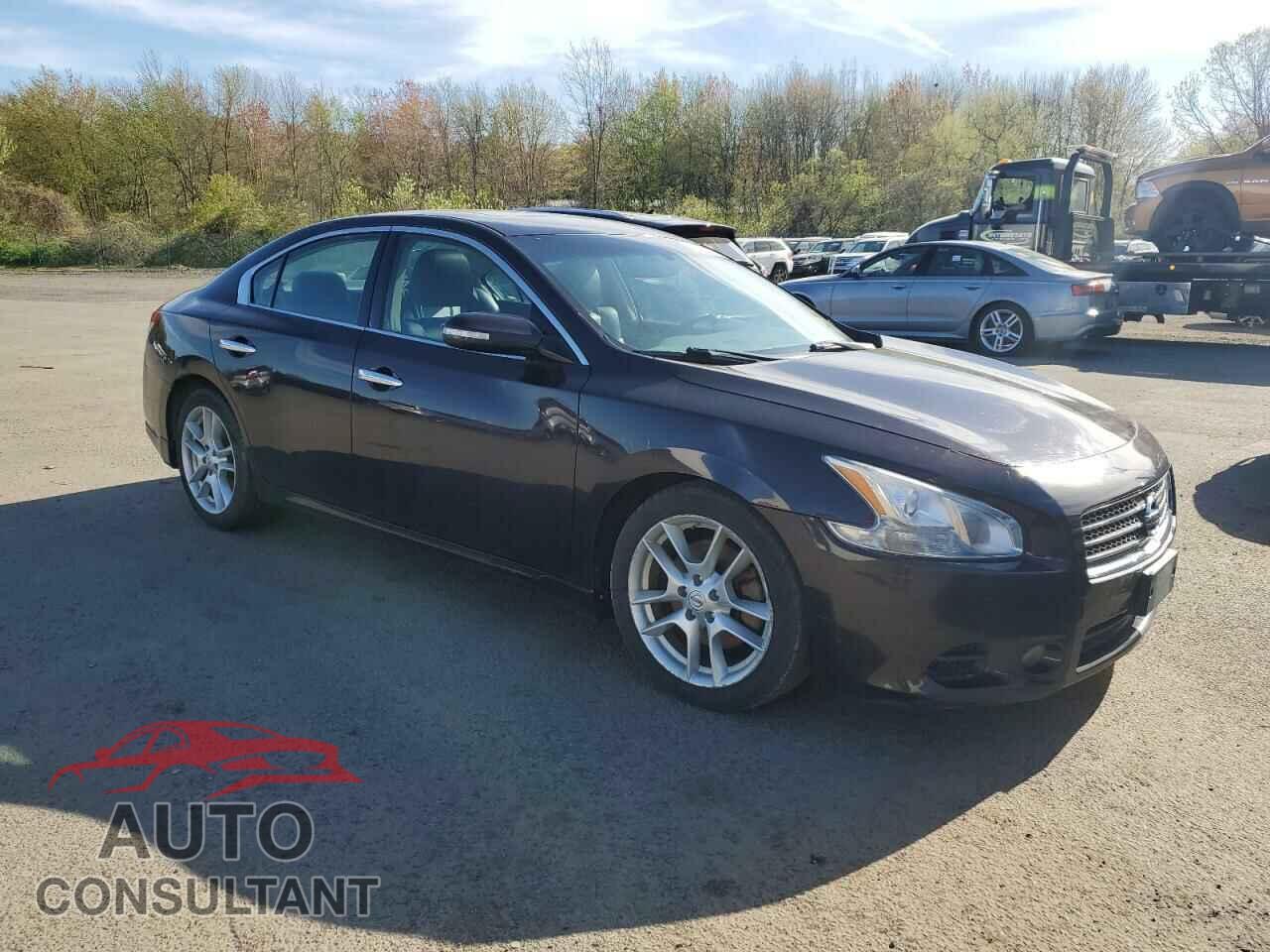 NISSAN MAXIMA 2010 - 1N4AA5AP2AC873698