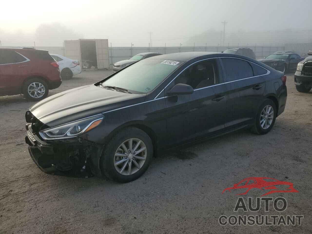 HYUNDAI SONATA 2019 - 5NPE24AF6KH748543