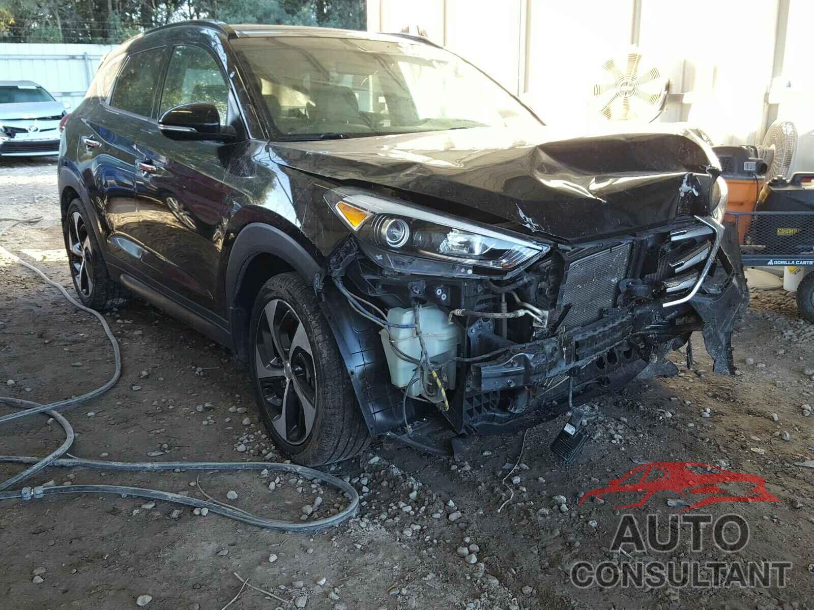 HYUNDAI TUCSON 2016 - KM8J33A23GU067073