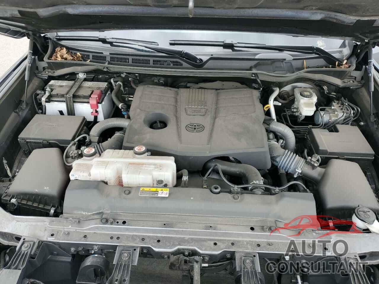 TOYOTA TUNDRA 2023 - 5TFLA5DB8PX103297