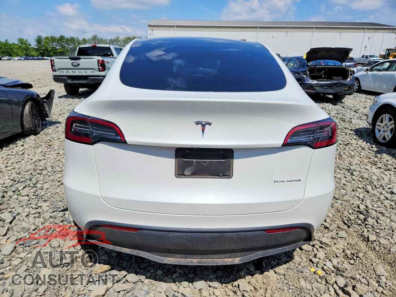 TESLA MODEL Y 2024 - 7SAYGAEE5RF182904