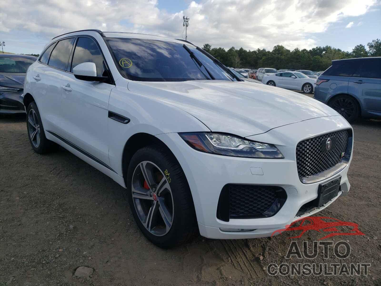 JAGUAR F-PACE 2019 - SADCM2FV4KA391171