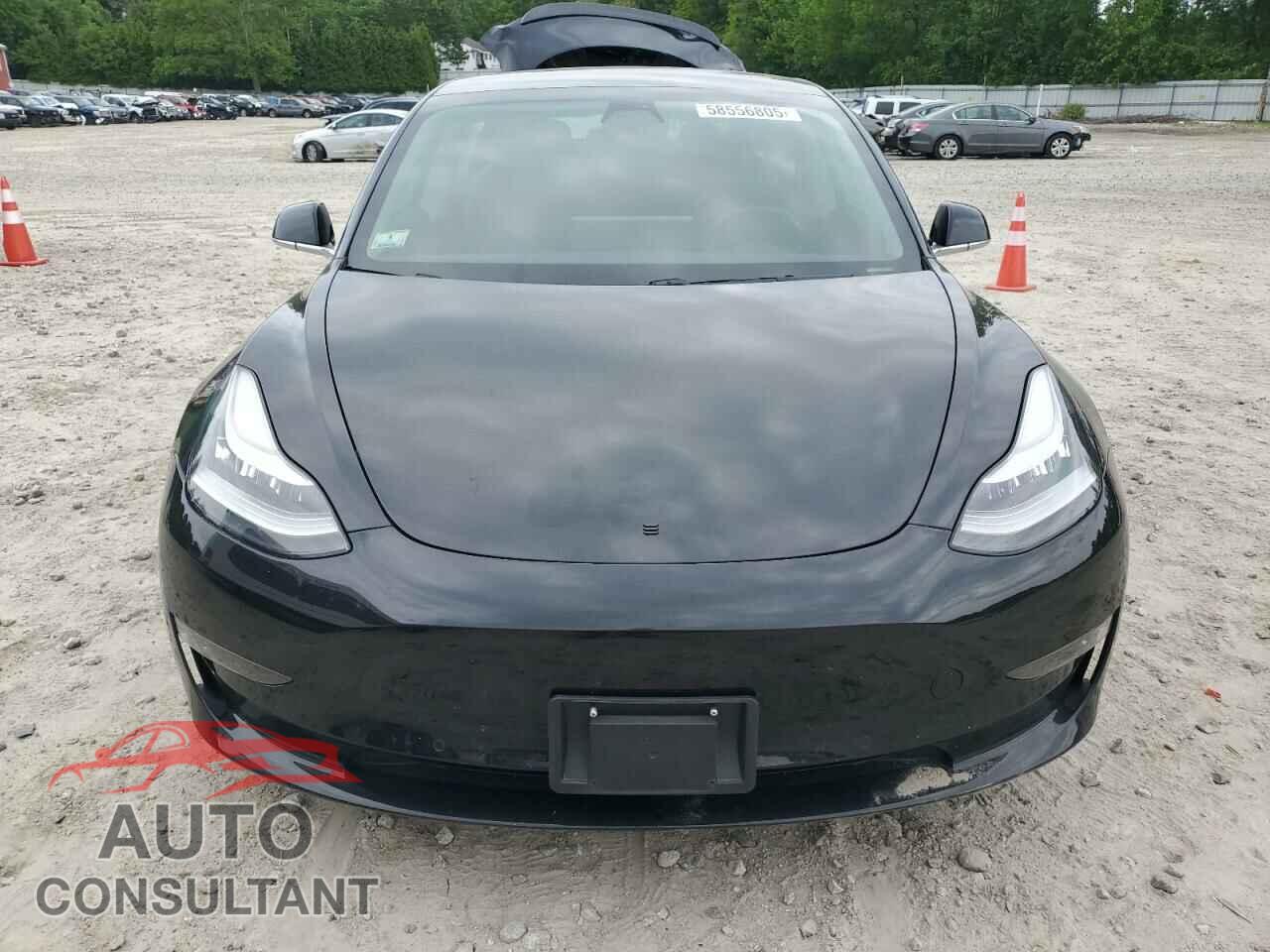 TESLA MODEL 3 2019 - 5YJ3E1EA5KF305861