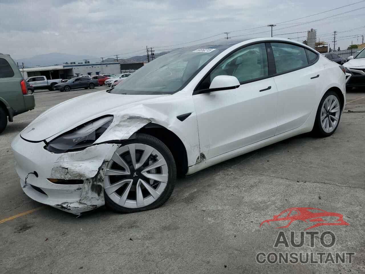 TESLA MODEL 3 2021 - 5YJ3E1EA9MF031390