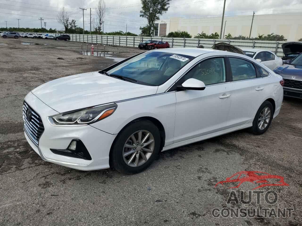 HYUNDAI SONATA 2019 - 5NPE24AF6KH753340