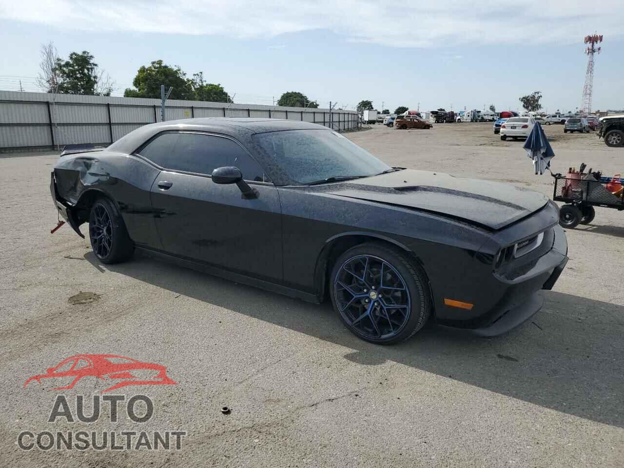 DODGE CHALLENGER 2013 - 2C3CDYAG3DH536233