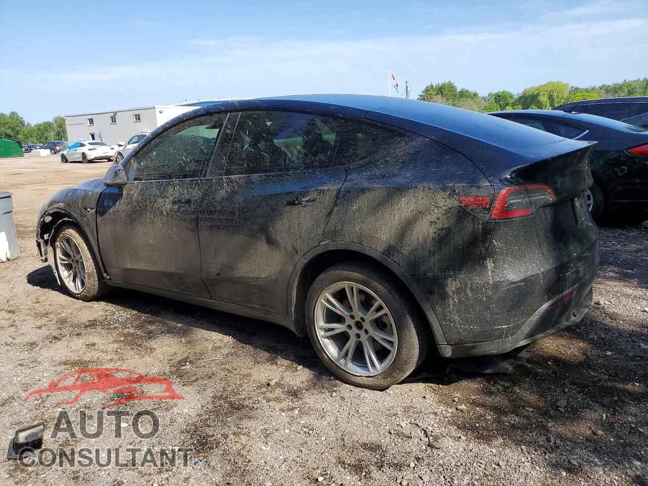 TESLA MODEL Y 2022 - 7SAYGDEE8NF565523