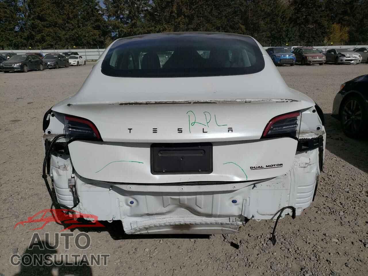 TESLA MODEL 3 2020 - 5YJ3E1EB2LF667656