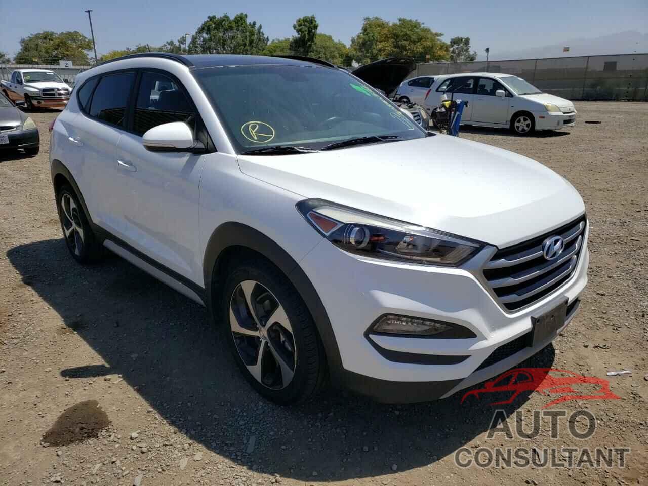 HYUNDAI TUCSON 2017 - KM8J33A25HU567527