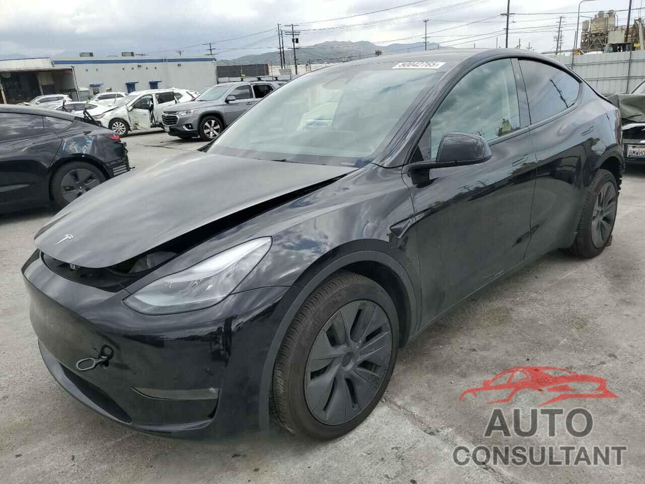 TESLA MODEL Y 2024 - 7SAYGDEEXRF209029