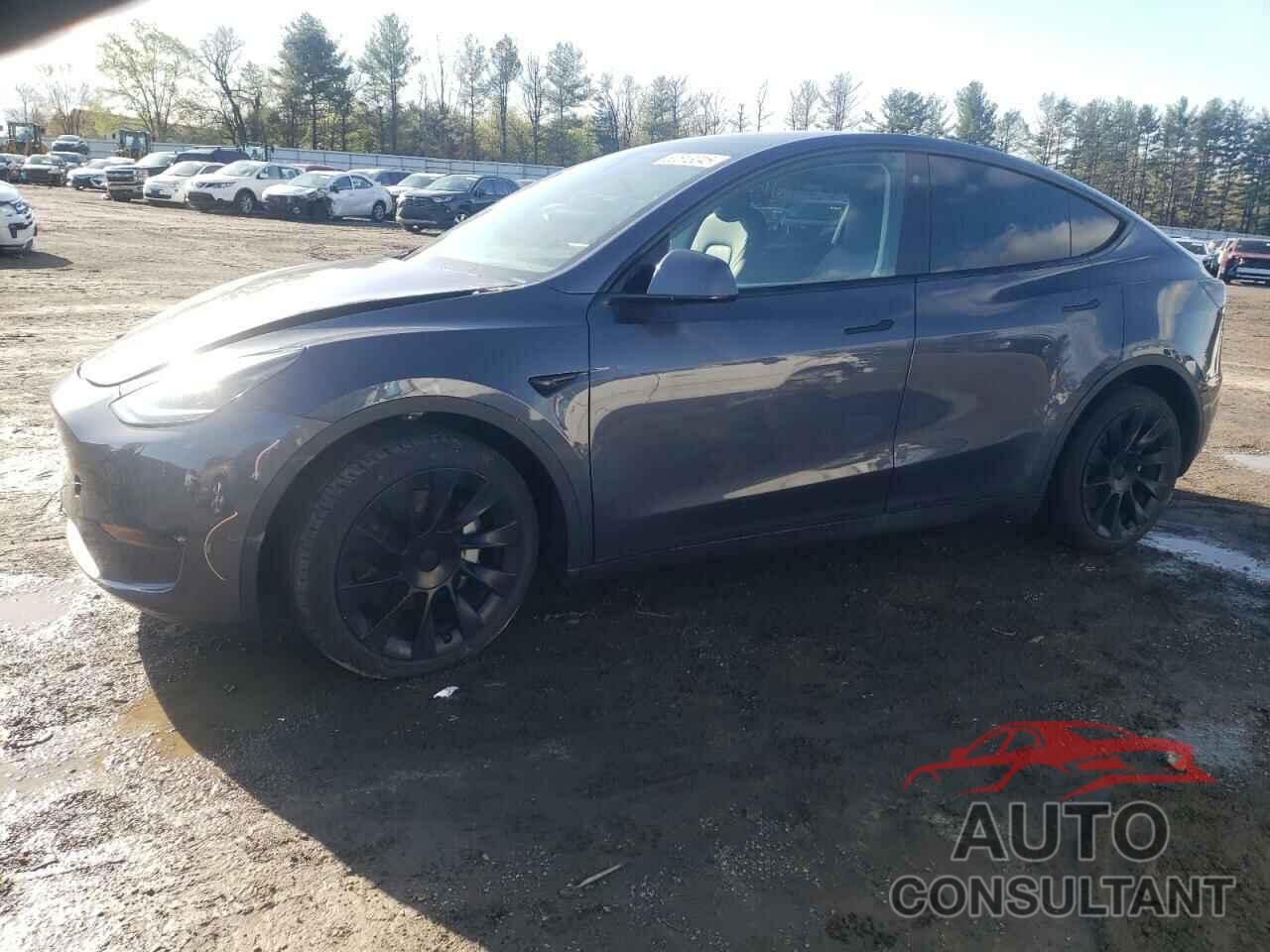 TESLA MODEL Y 2023 - 7SAYGAEE3PF596826