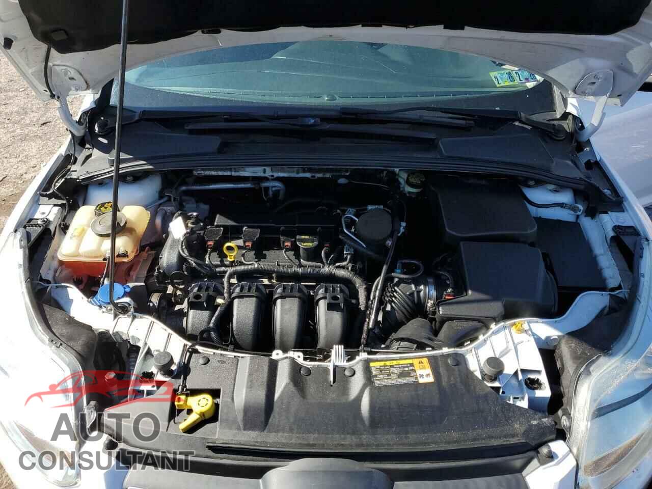 FORD FOCUS 2014 - 1FADP3F29EL158923