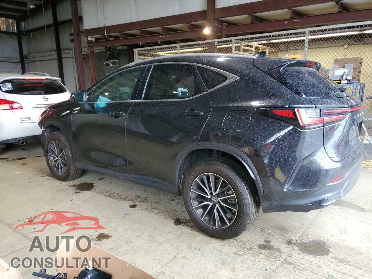 LEXUS NX 350 2023 - 2T2GGCEZ4PC020024