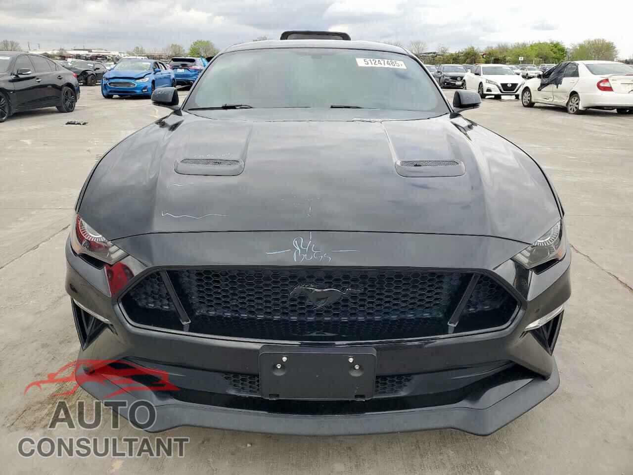 FORD MUSTANG 2019 - 1FA6P8CF3K5108905