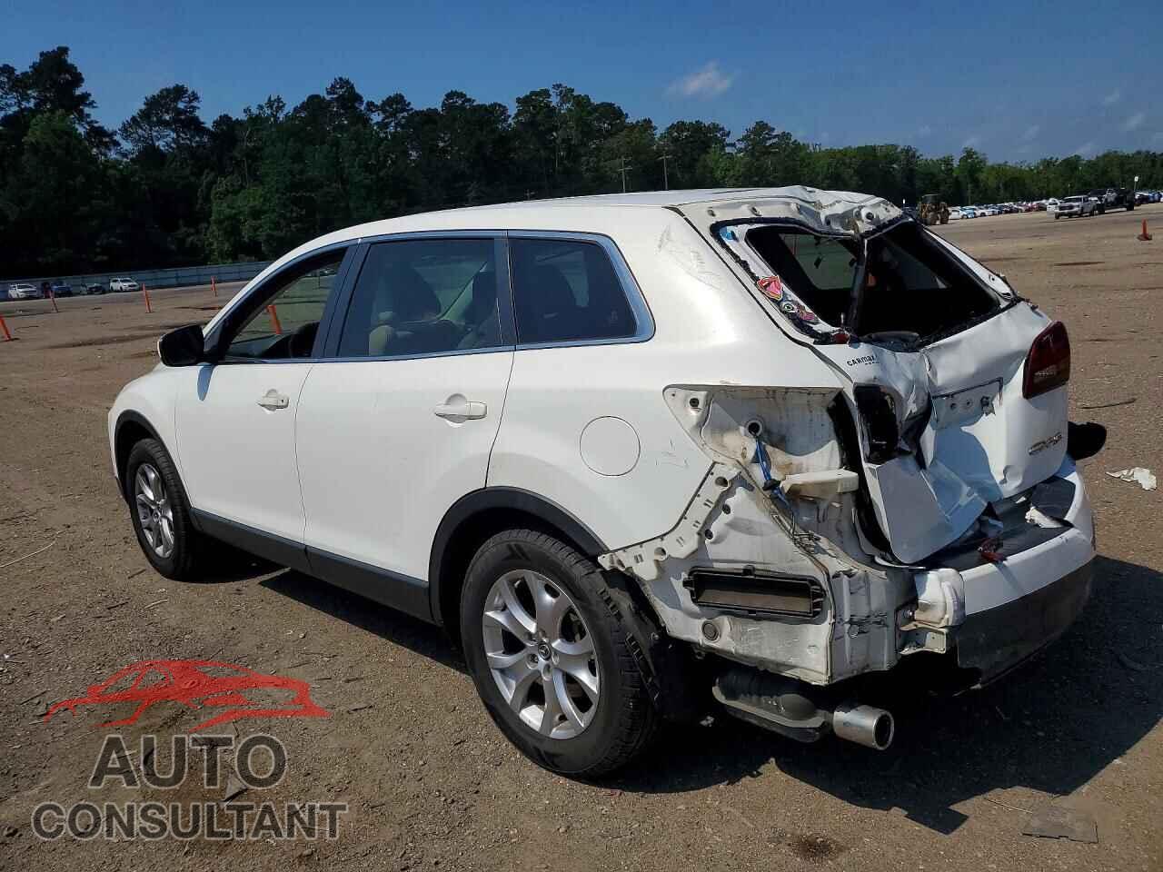 MAZDA CX-9 2014 - JM3TB2BA6E0444880