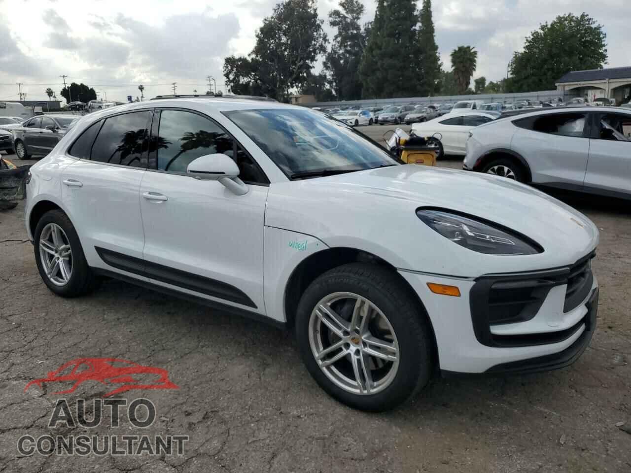 PORSCHE MACAN BASE 2023 - WP1AA2A55PLB03204