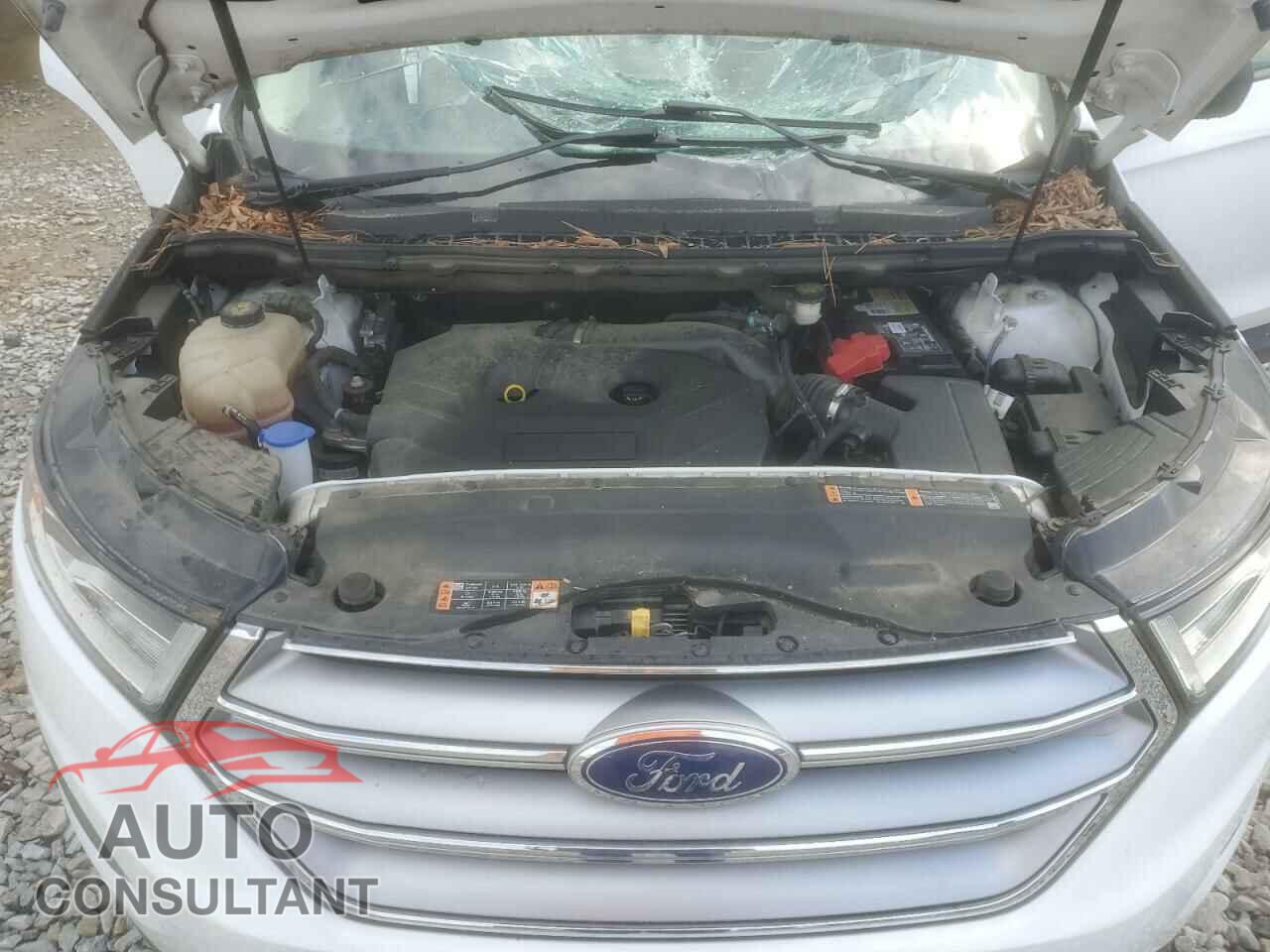 FORD EDGE 2016 - 2FMPK3G91GBC49605