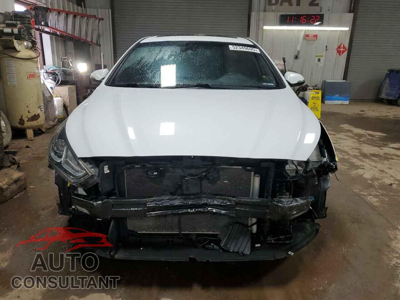 HYUNDAI SONATA 2019 - 5NPE34AF1KH767384