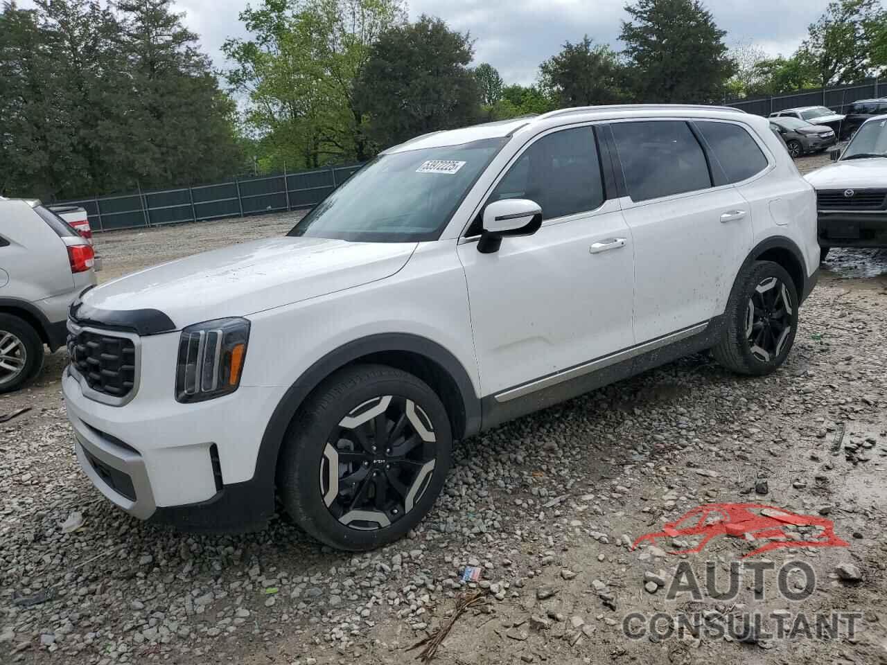KIA TELLURIDE 2024 - 5XYP64GC5RG538334