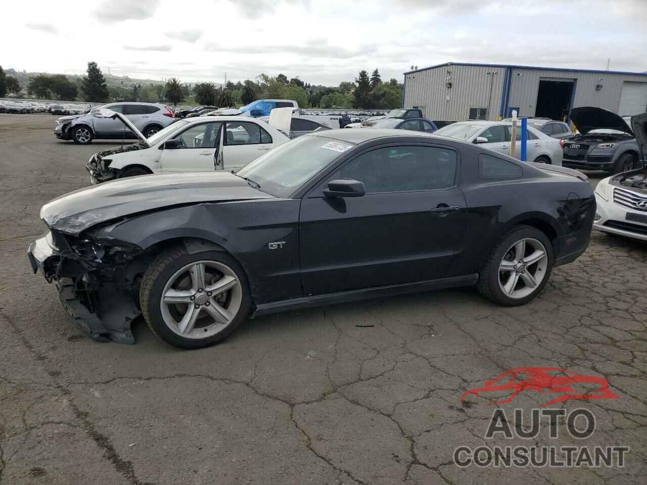 FORD MUSTANG 2010 - 1ZVBP8CH2A5134160