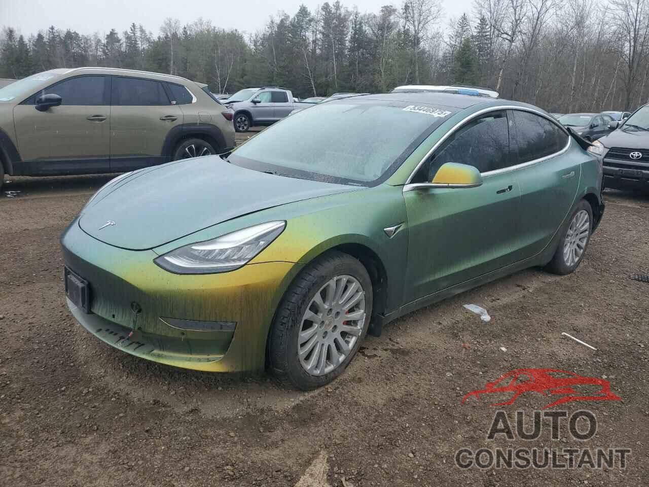 TESLA MODEL 3 2019 - 5YJ3E1EB5KF407329