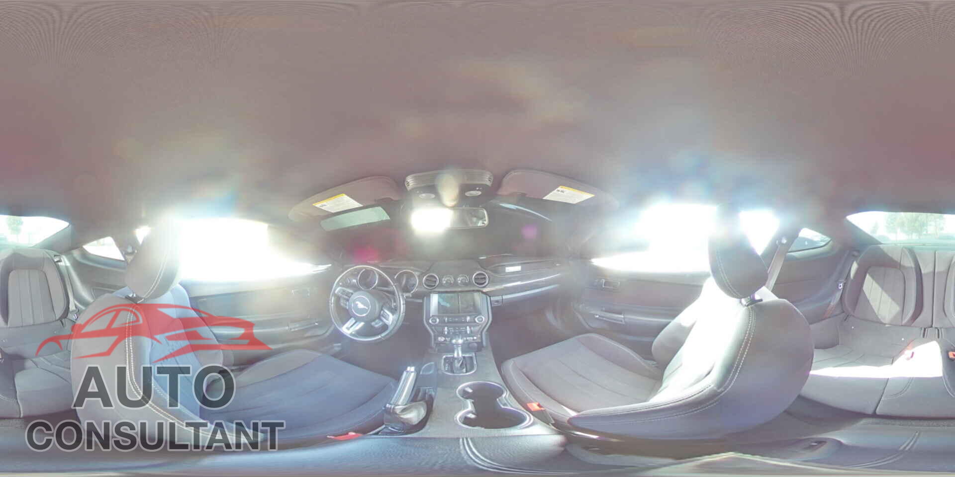 FORD MUSTANG 2019 - 1FA6P8CF8K5175578