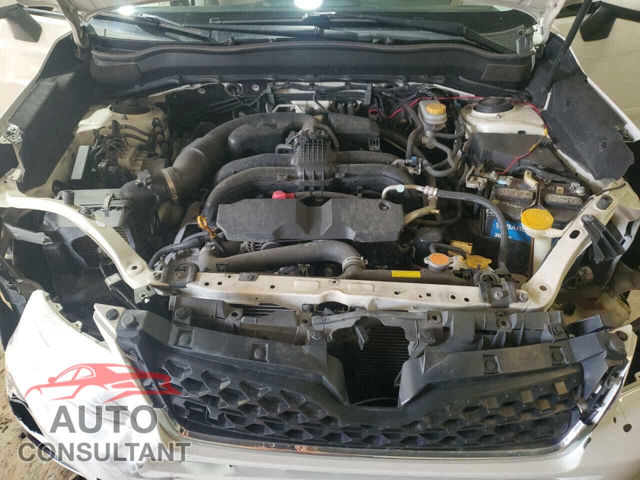SUBARU FORESTER 2016 - JF2SJAFC4GH436988