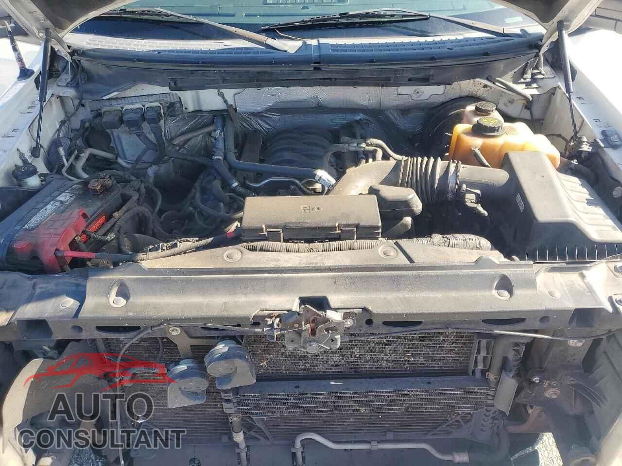 FORD F150 2013 - 1FTFW1CF8DFC19435