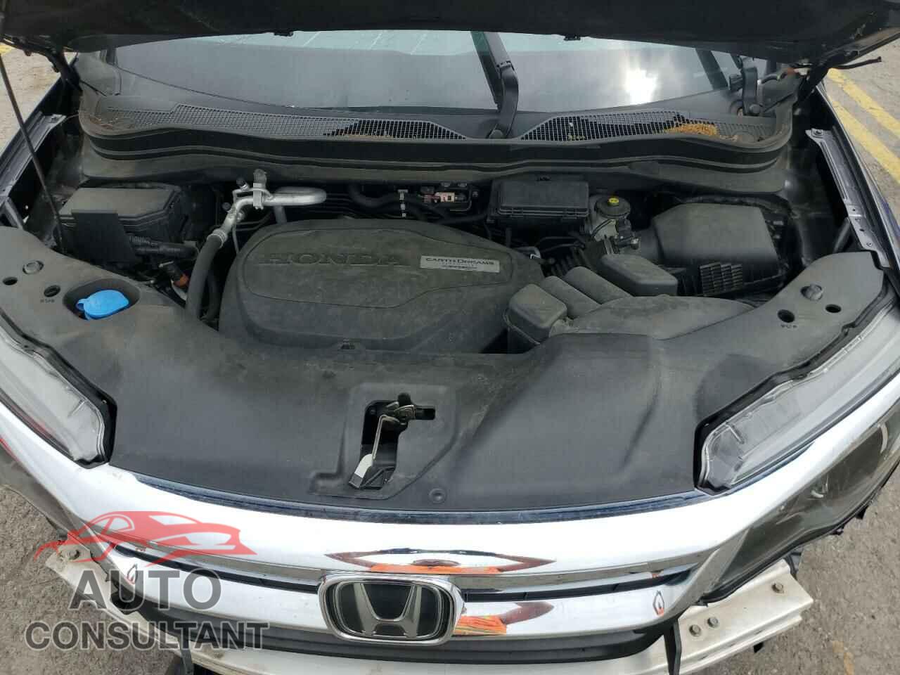HONDA PILOT 2019 - 5FNYF6H19KB020883