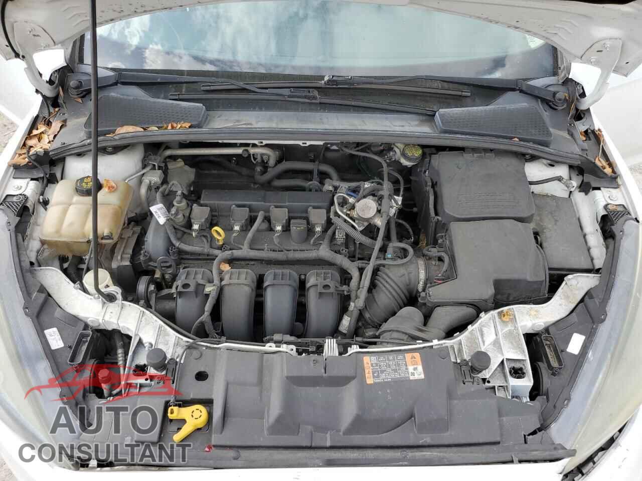FORD FOCUS 2016 - 1FADP3F28GL367914