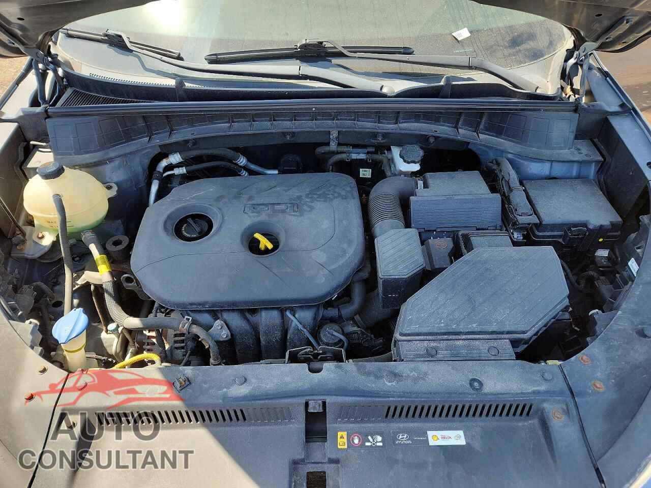 HYUNDAI TUCSON 2017 - KM8J33A41HU596234
